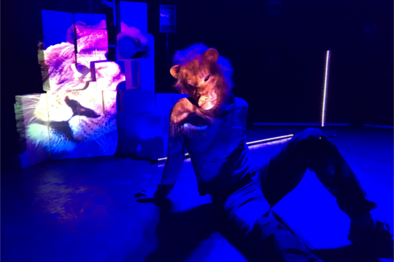 Pharenheit 2019 danse autour du Phare